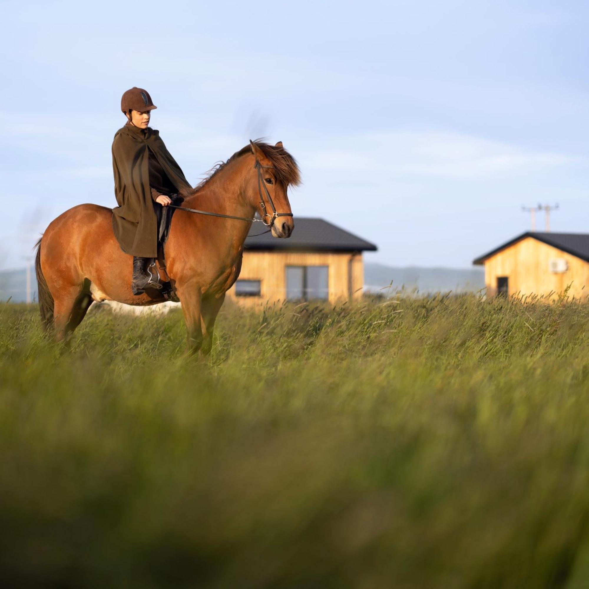 Sleeping With The Horses Apartment Hvolsvöllur Exterior foto